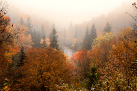 North Carolina - Fall 2014