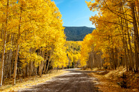 Colorado fall - 2019